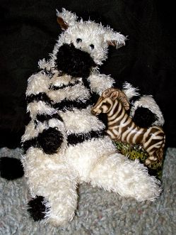 zebot-and-his-zebra-pal.jpg
